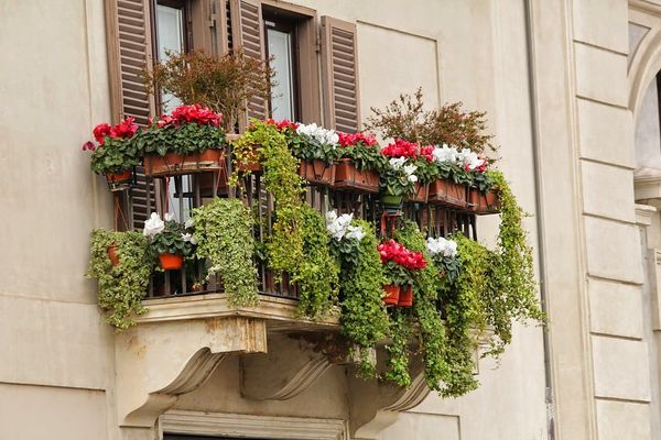 Wykreuj ogródek na swoim własnym balkonie